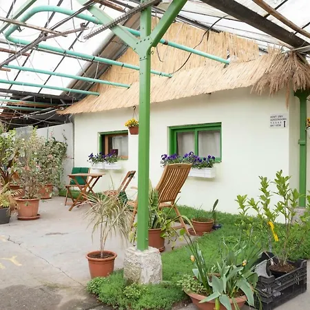 Rastlinky.Sk Greenhouse Guestrooms-2